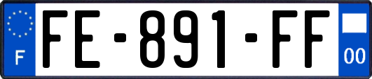 FE-891-FF