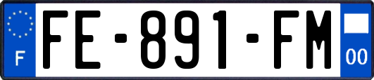 FE-891-FM