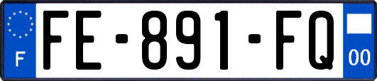 FE-891-FQ