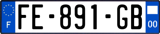 FE-891-GB