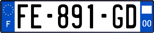 FE-891-GD