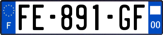 FE-891-GF