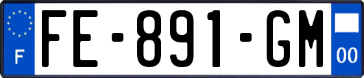 FE-891-GM