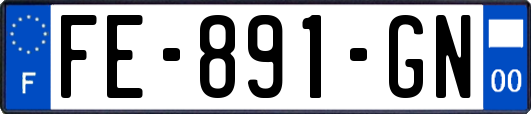 FE-891-GN