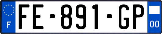 FE-891-GP