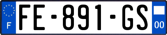 FE-891-GS