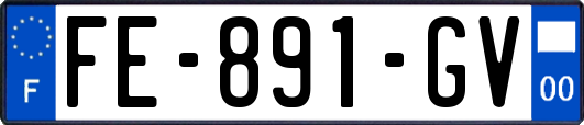 FE-891-GV
