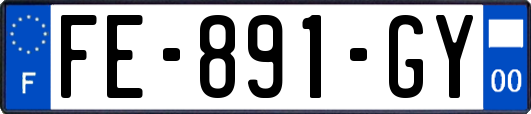 FE-891-GY