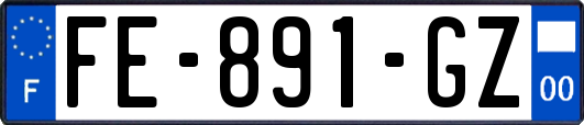 FE-891-GZ