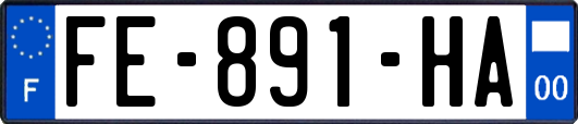 FE-891-HA