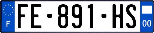 FE-891-HS
