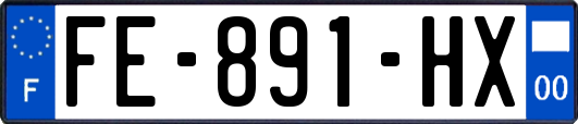 FE-891-HX