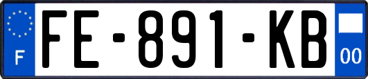 FE-891-KB