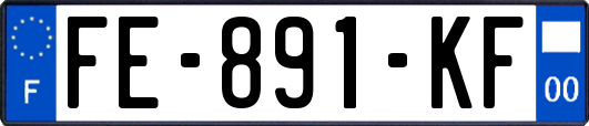 FE-891-KF