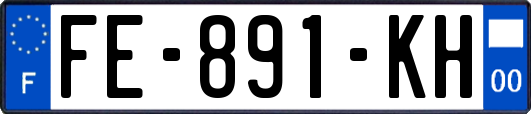 FE-891-KH