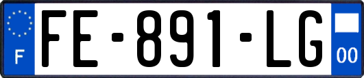 FE-891-LG