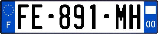 FE-891-MH