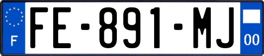 FE-891-MJ