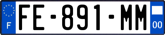 FE-891-MM