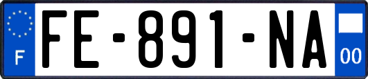 FE-891-NA