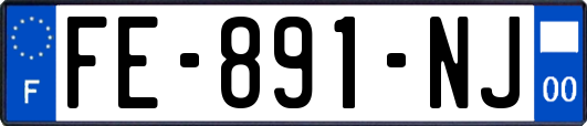 FE-891-NJ
