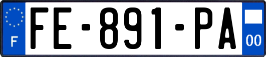 FE-891-PA