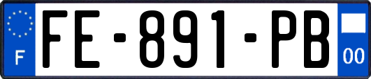 FE-891-PB