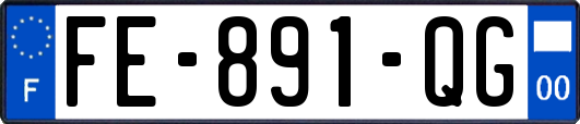 FE-891-QG
