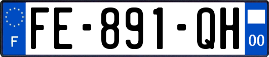 FE-891-QH