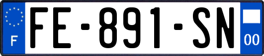 FE-891-SN