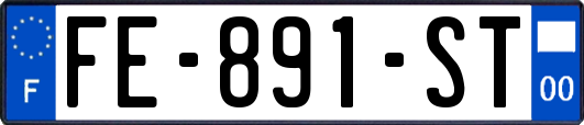 FE-891-ST