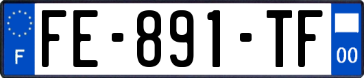 FE-891-TF