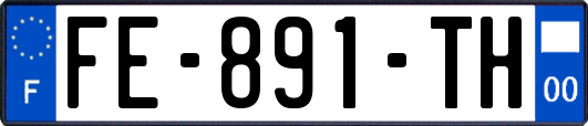FE-891-TH