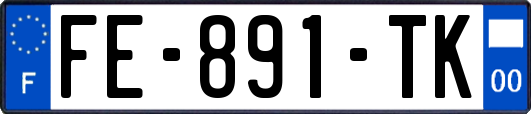 FE-891-TK