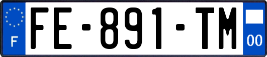 FE-891-TM