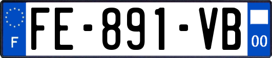 FE-891-VB