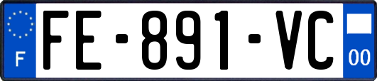 FE-891-VC