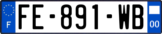 FE-891-WB