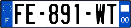 FE-891-WT