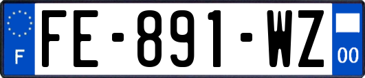 FE-891-WZ