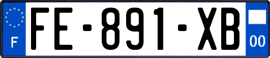 FE-891-XB