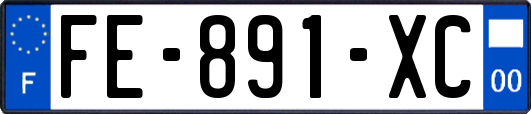 FE-891-XC