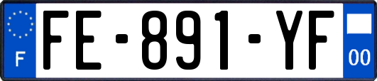 FE-891-YF