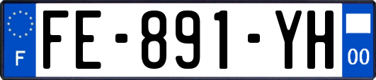 FE-891-YH