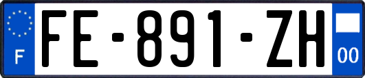 FE-891-ZH