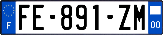 FE-891-ZM