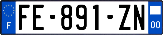 FE-891-ZN