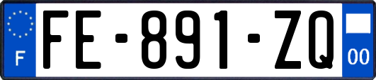 FE-891-ZQ