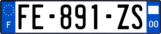 FE-891-ZS