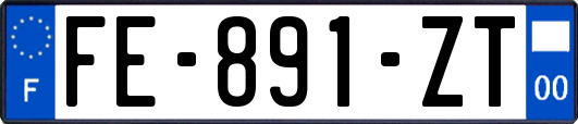 FE-891-ZT